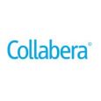 collabera review|collabera company reviews.